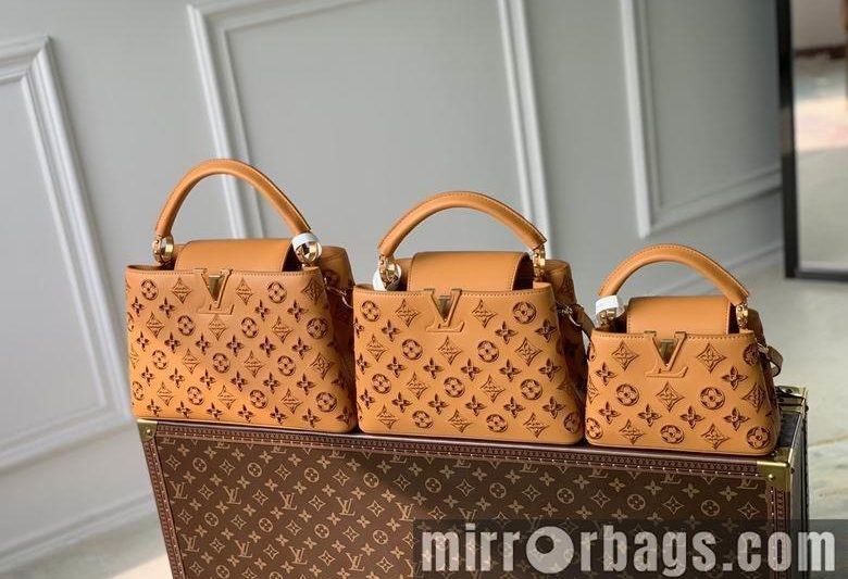 LV Replica Bags Capucines M22863 21x14x8cm