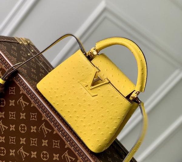 LV Replica Bags Capucines M93483 21x14x8cm6色