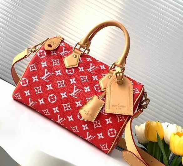 LV Replica Bags Speedy M24425 25X15X15cm