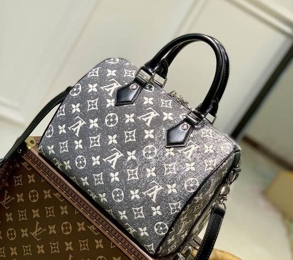 LV Replica Bags Cruise M21464 25x19x15cm