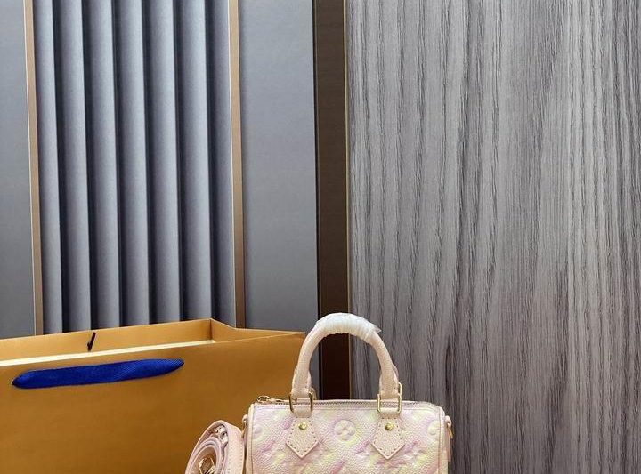 LV Replica Bags Speedy M81508 16x10x7.5cm