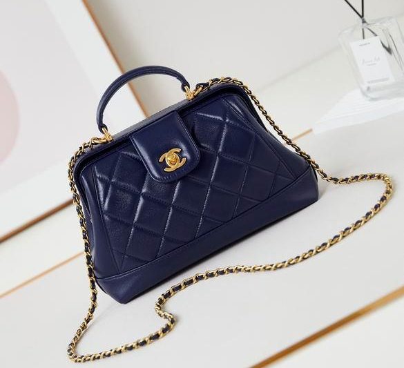 Chanel Replica Bags AS4959 16X23.5X8cm BL