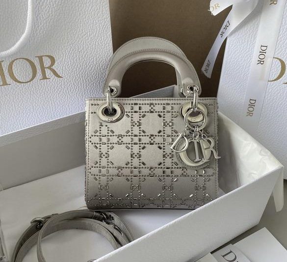 Dior Replica Bags 1004 17x15x7cm wz1