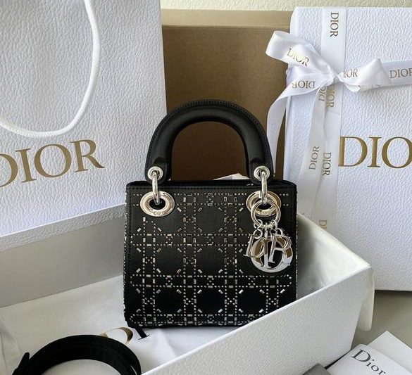 Dior Replica Bags 1004 17x15x7cm wz