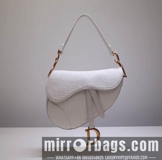 Dior Replica Bags Saddle 6815 L25.5x20x6.5 S21x18x5cm wo