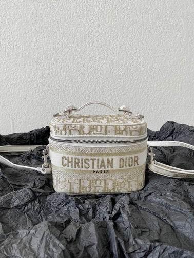 Dior Replica Bags 金丝刺绣 18.5×13.5×10.5cm  wz