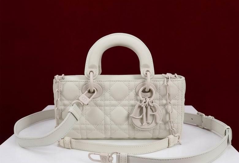 Dior Replica Bags Lady M0541 22X12X6.5cm BG 22