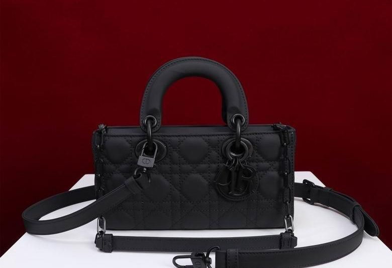 Dior Replica Bags Lady M0541 22X12X6.5cm BG 21