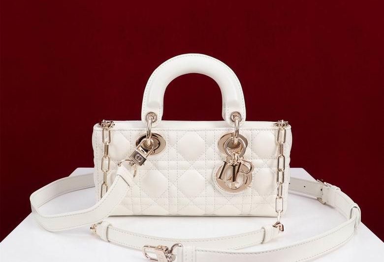 Dior Replica Bags Lady M0541 22X12X6.5cm BG 12