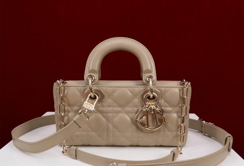 Dior Replica Bags Lady M0541 22X12X6.5cm BG 11