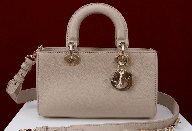 Dior Replica Bags 051305 BG 5