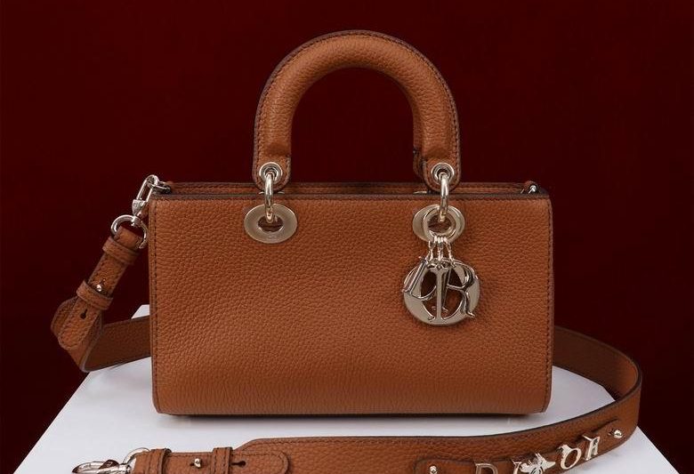 Dior Replica Bags 051305 BG 4