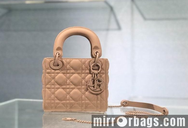 Dior Replica Bags 6603 17cm YG 4