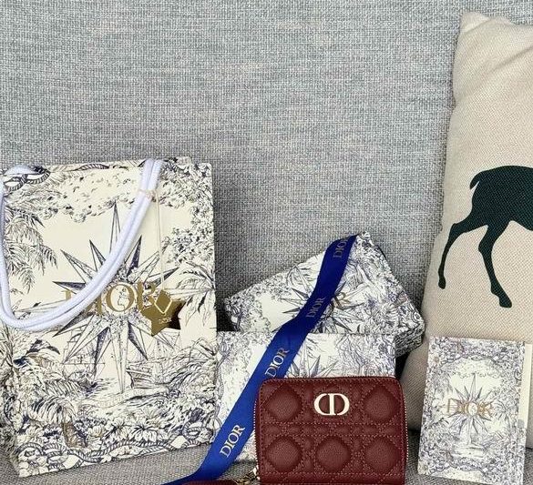Dior Replica Bags S5032 12X9X5cm YG 1