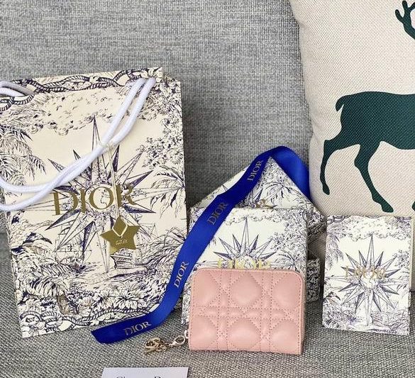 Dior Replica Bags s0985 12X8.5cm YG 4