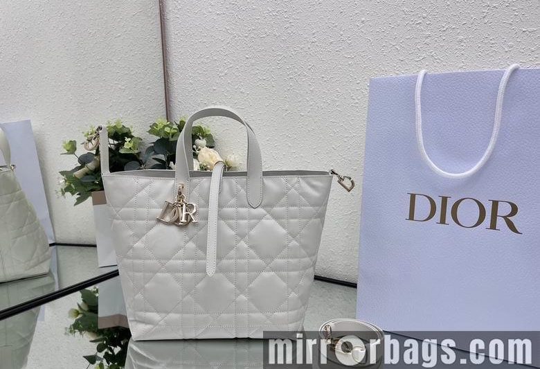Dior Replica Bags Toujours 20X18.5X22cm 031901 YG 2