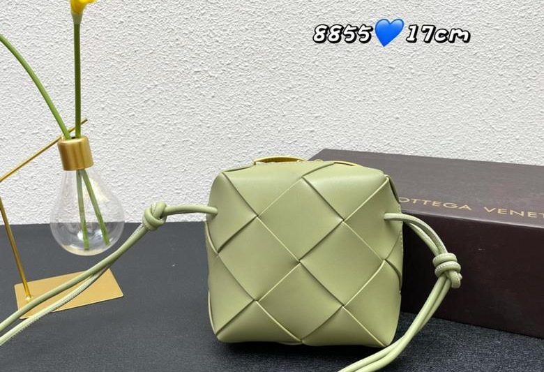 Bottega Veneta Replica Bags cassette 8855 17X17X11cm JY 1
