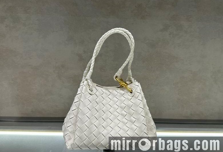 Bottega Veneta Replica Bags Andioma 6010 21X15X15cm JY 8