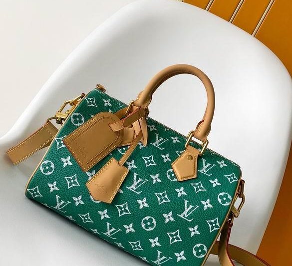 1:1 Louis Vuitton Bags M24423 25X15X15cm WP 2colour