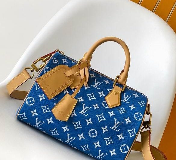 1:1 Louis Vuitton Bags M11561 25X15X15cm WP