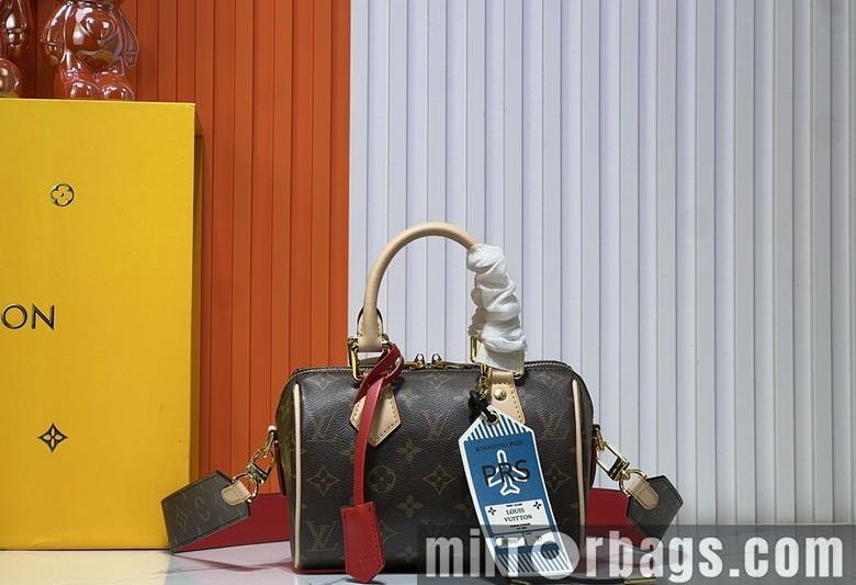 1:1 Louis Vuitton Bags Speedy M45957 20.5×13.5x12cm ss