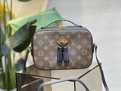 1:1 Louis Vuitton Bags M43555 22X16X8cm XM 2colour