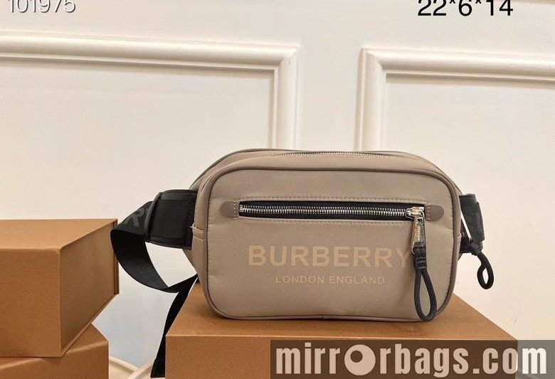 Burberry Replica Bags 22X6X14cm 030510 WP 2colour