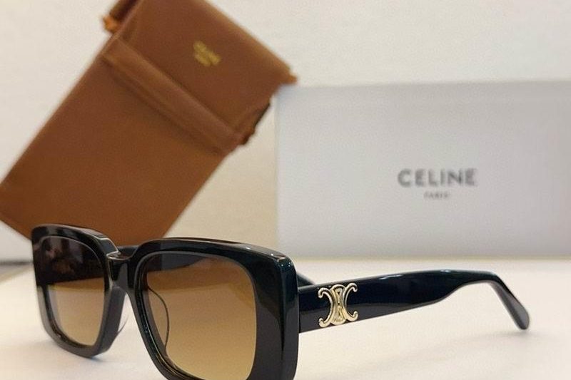 Replica Celine Glasses smx205