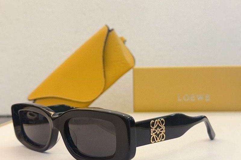 Replica Loewe Glasses smx43