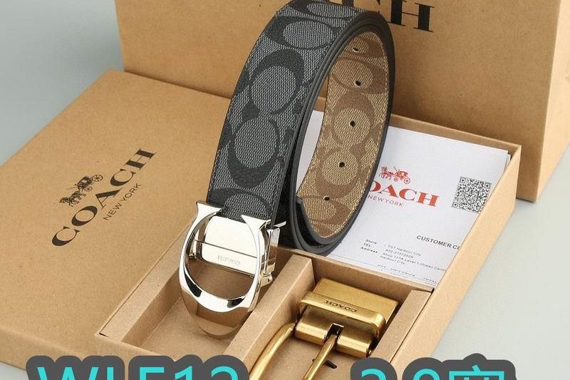 Replica Coach belt 38mmX95-125cm XH03