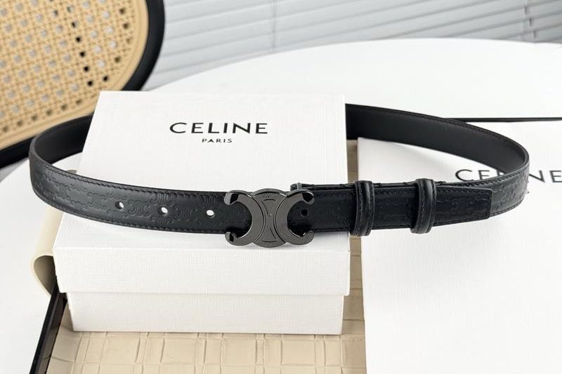Replica Celine belt 25mmX90-115cm 8L29