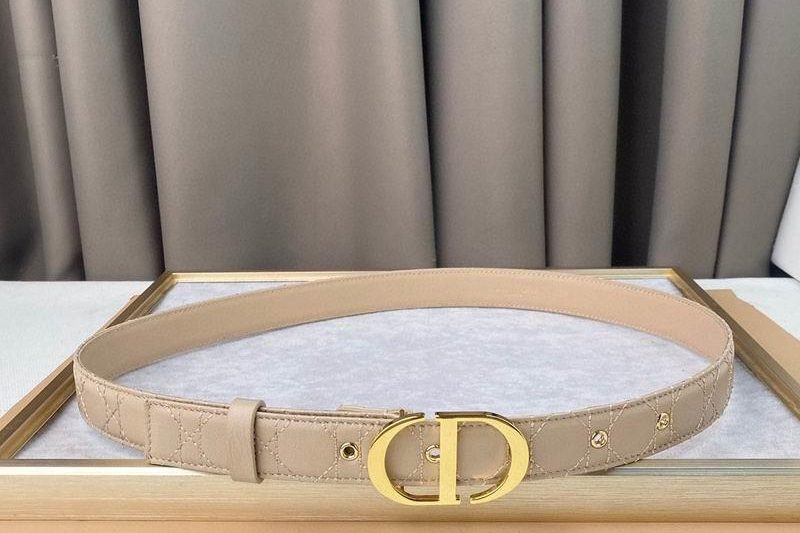 Replica Dior belt 30mmX90-115cm 8L111007