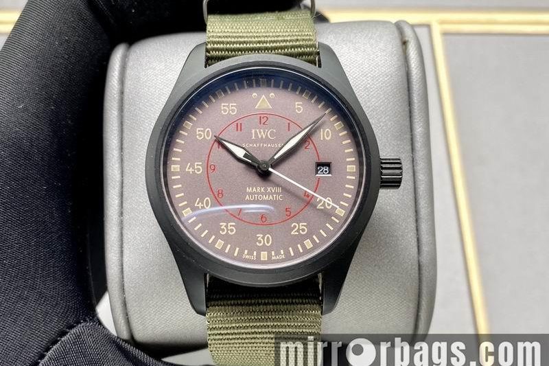 Replica IWC 40X13mm 0506157