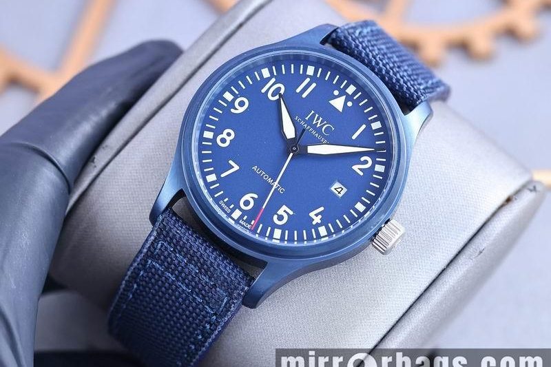 Replica IWC 40X12mm 0506164