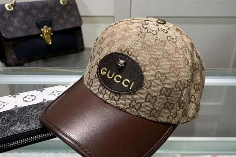 Replica Gucci Hat dx47