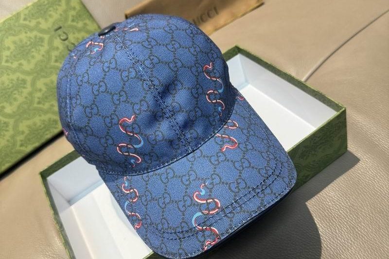 Replica Gucci cap dx41