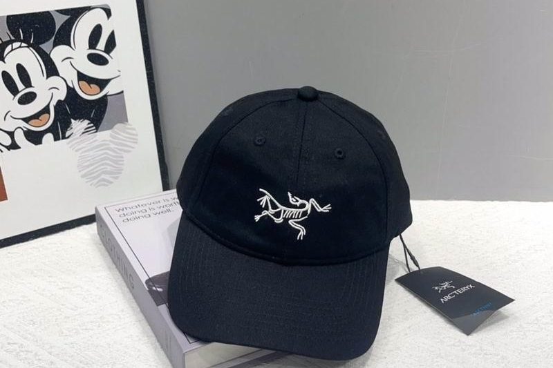 Replica Arcteryx cap hm03