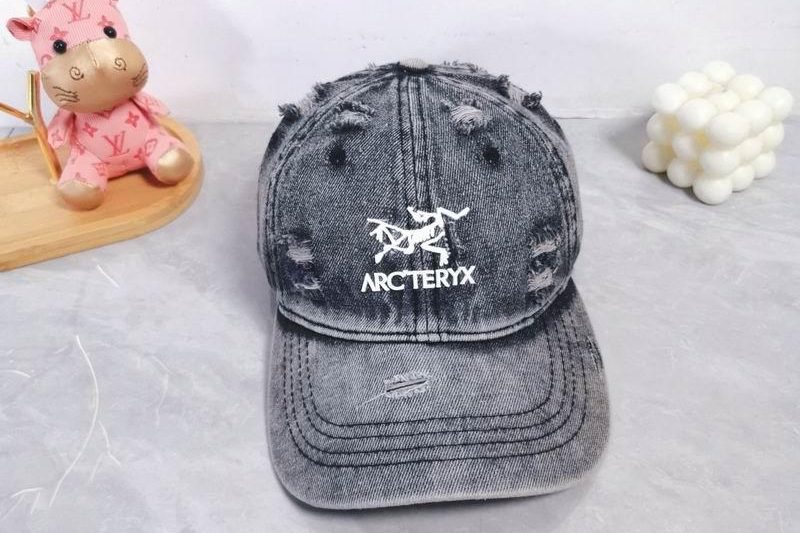 Replica Arcteryx cap dx03