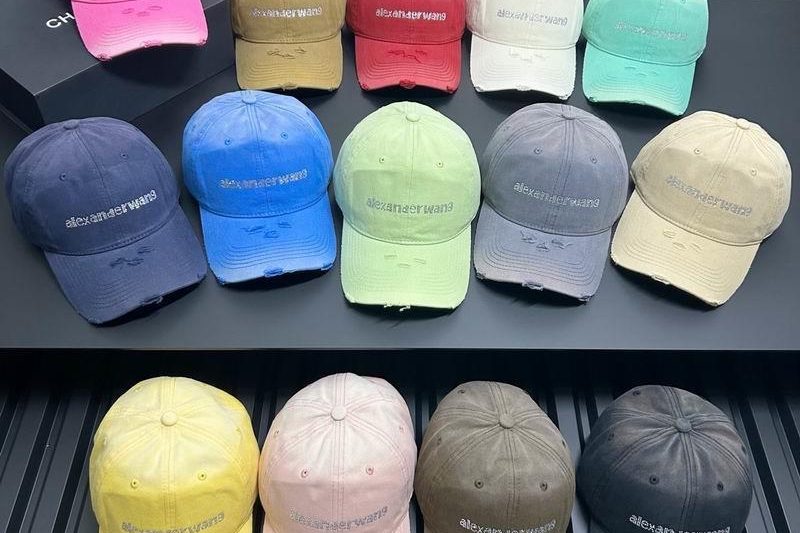 Replica Alexander Wang cap dx64