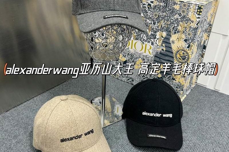 Replica Alexander Wang cap dx15