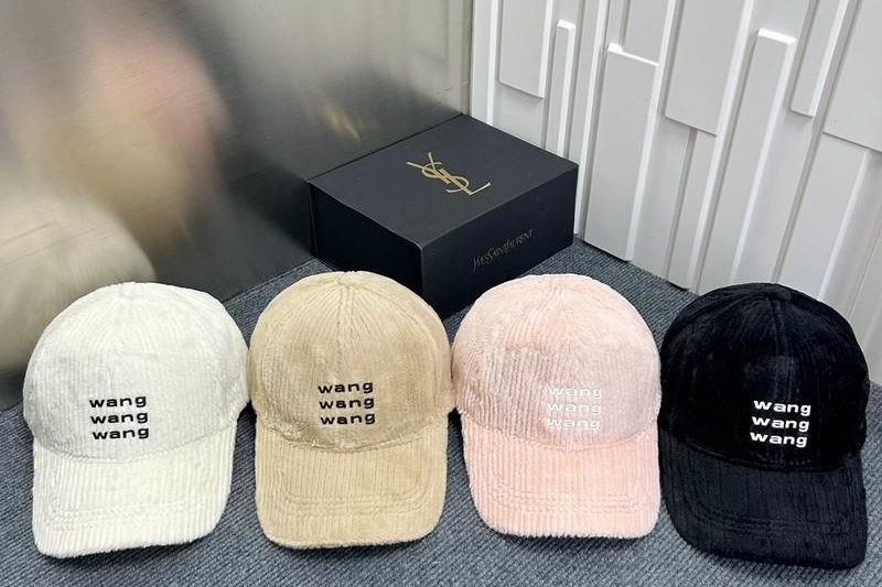 Replica Alexander Wang cap dx14