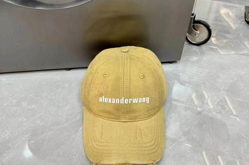 Replica Alexander Wang cap dx05