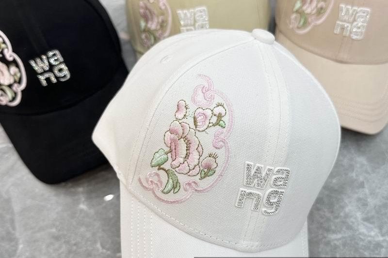 Replica Alexander Wang cap  dx03