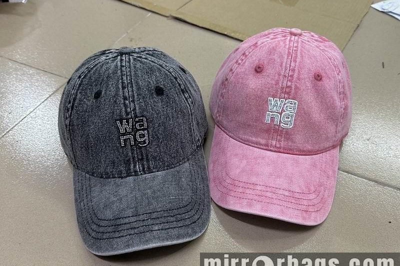Replica Alexander Wang cap  dx02