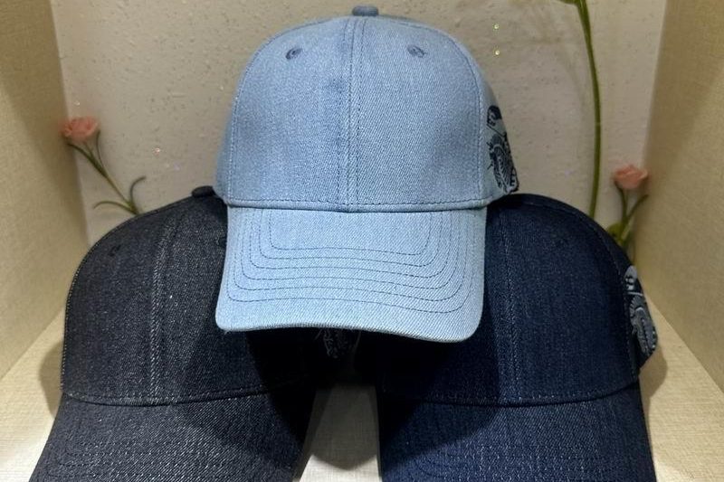 Replica Burberry cap 080101