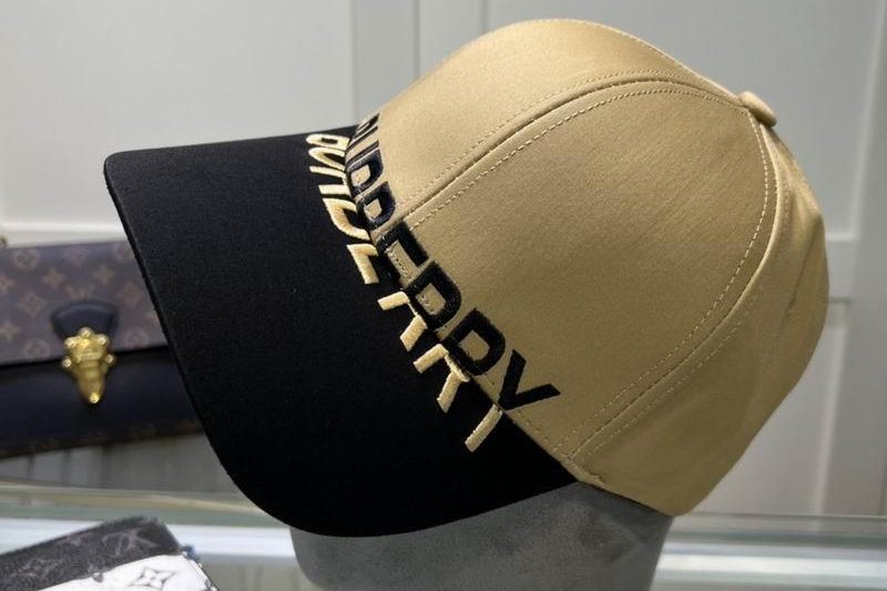 Replica Burberry cap dx04