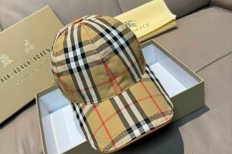 Replica Burberry Hat dx66