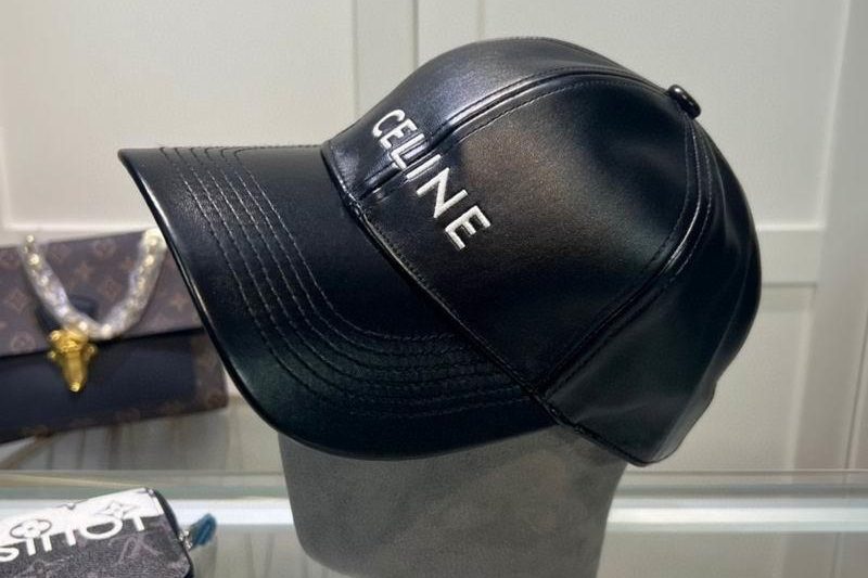 Replica Celine cap dx113