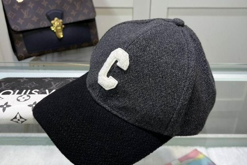Replica Celine cap dx102