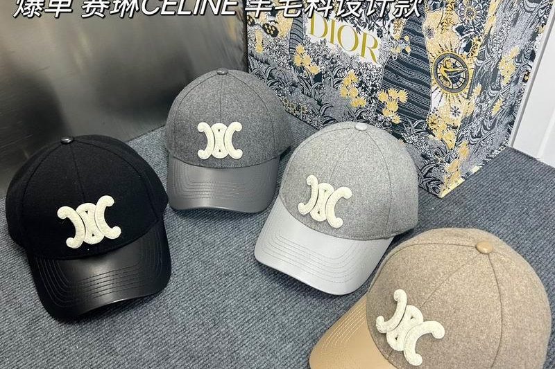 Replica Celine Hat dx89